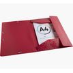 3130630552109-Exacompta MAÏA - Chemise à 3 rabats - A4 - pour 250 feuilles - disponible dans différentes couleurs--2